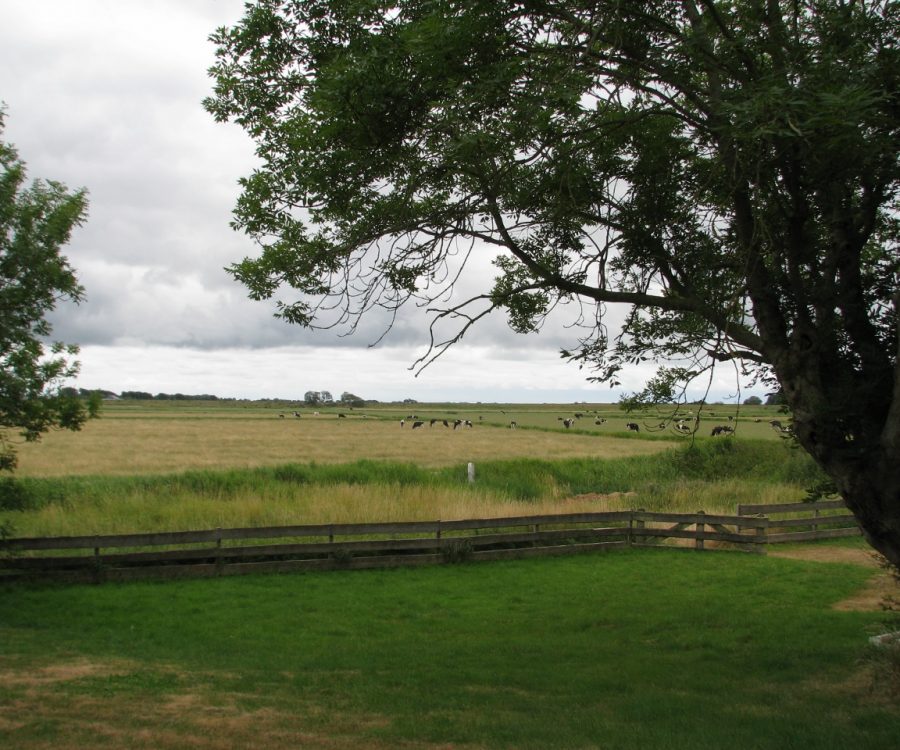 Blick in die Landschaft