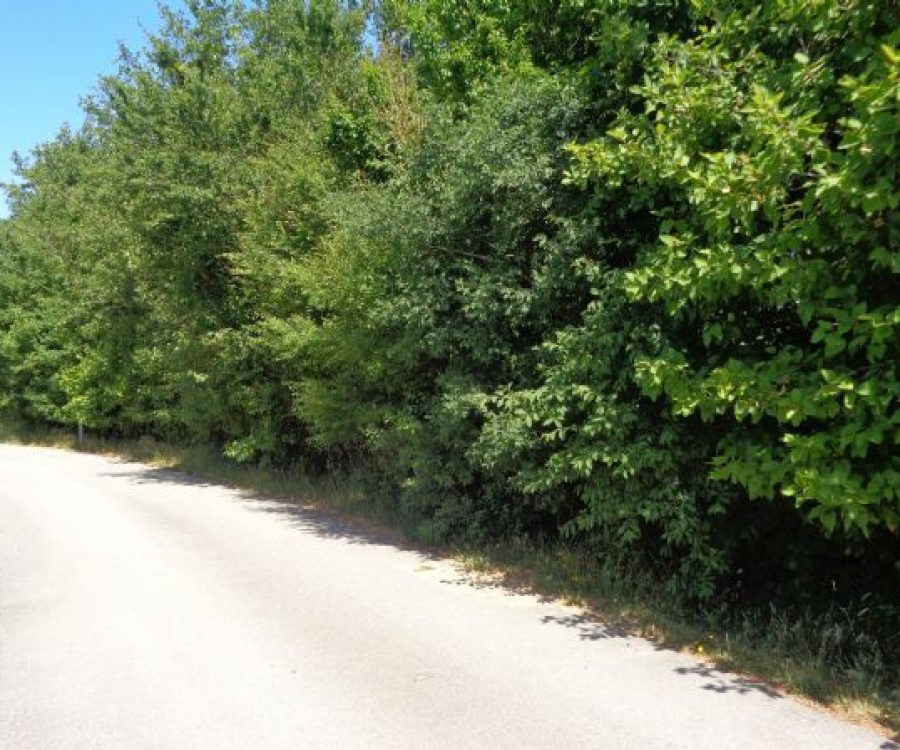 600_2BC4B171F1BD4B60A8A9E03D7E5B8466