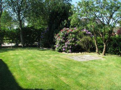 600_FBE52C1CEBC046A9A9D09974DA7F4C63