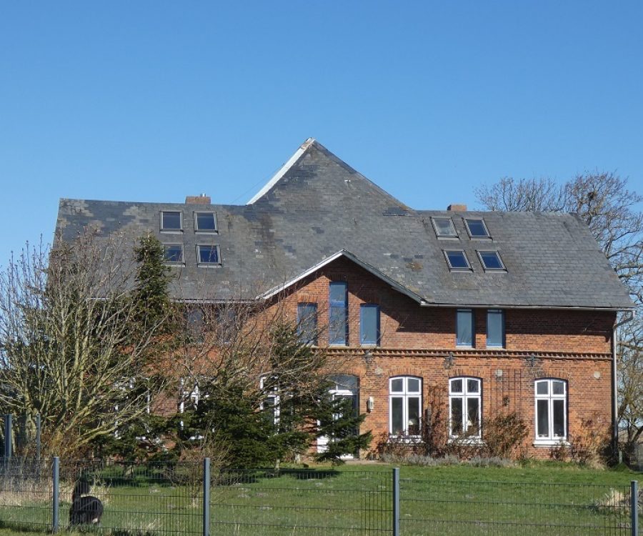 Aussenansicht_Bäume