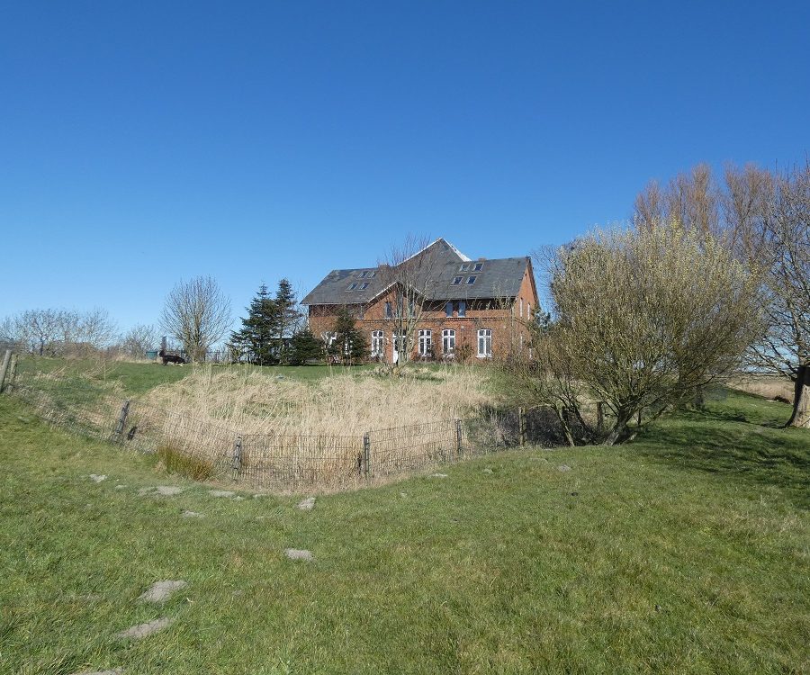 Aussenansicht_mit_Garten
