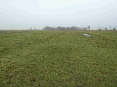 Gruenland_2