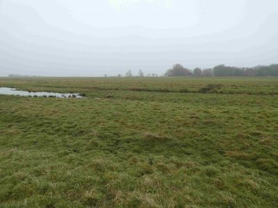 Gruenland_6