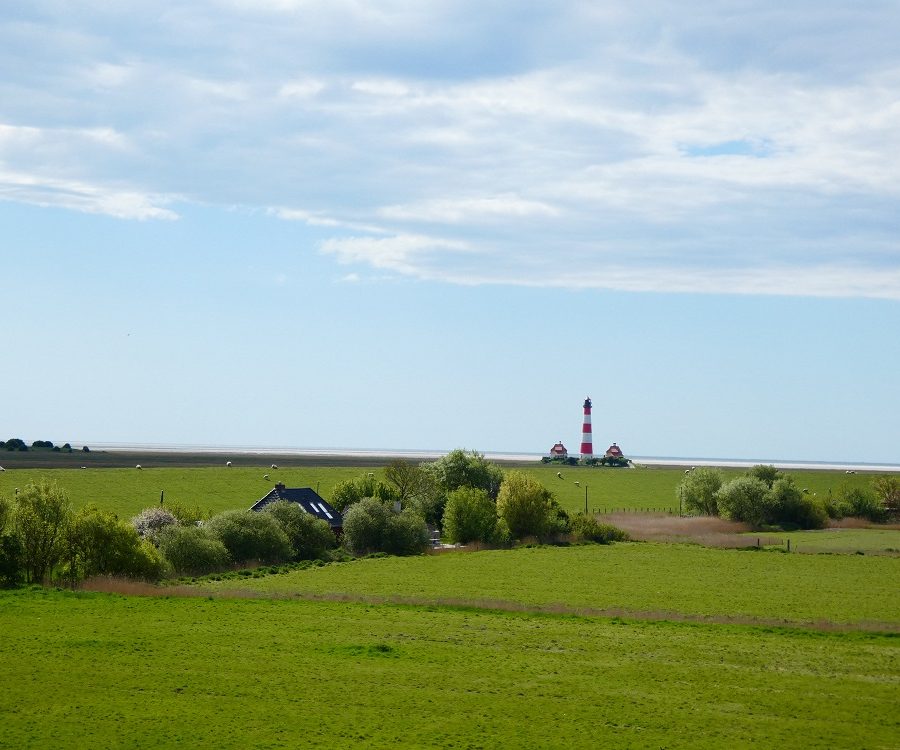 Sommer_Ausblick