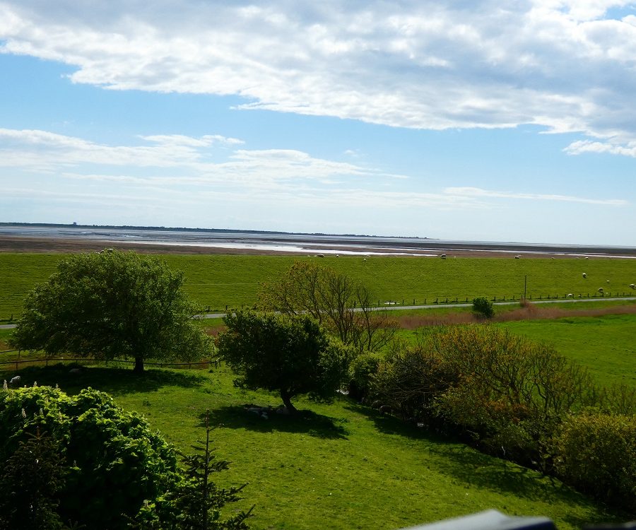 Sommer_Aussicht