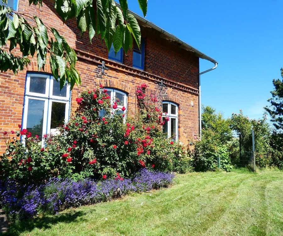 Sommer_Kirchbaum