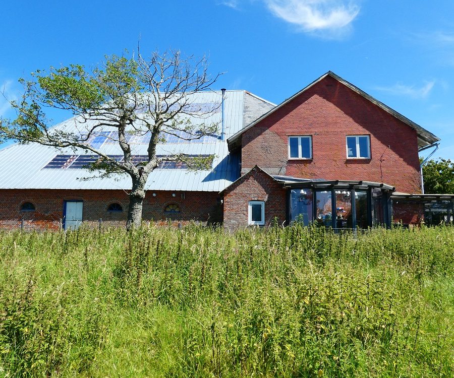 Sommer_Wintergarten