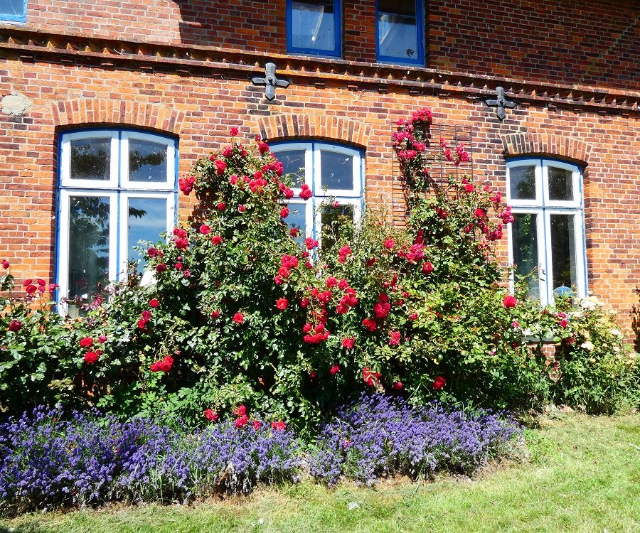 Sommerbracht